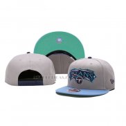 Gorra Tennessee Titans Adjustable 9FIFTY Gris